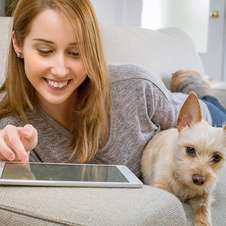 woman with a dog laying on couch while using her tablet device